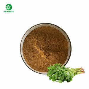 Fabrika kaynağı kurutulmuş organik Purslane Purslane toz Portulaca Oleracea özü - Product Image 3