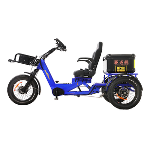 Tricycle à 2 places 1750W 60Ah avec une batterie, siège orienté vers l'avant, pour la famille, longue autonomie 200KM, puissance totale du moteur double 1750W (75 - Product Image 3