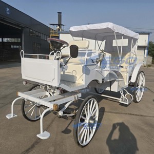Charrette Électrique de Luxe Purement Blanche pour Visites Touristiques, Carrosse Royal Princesse, Carrosse de Mariage, Chariot à Chevaux - Product Image 5