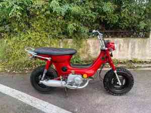 Moped à essence <span class=keywords><strong>50CC</strong></span> 49CC Pocketbike pour compagnons animaux - Product Image 4