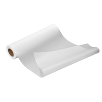 Film de transfert DTF PET 30/60cm *100m – Fournisseurs spécialisés – Vente directe usine – Taux de transfert élevé – Échantillons gratuits