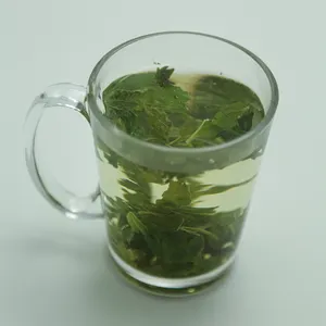 Vendita di granuli di menta piperita di alta qualità può essere direttamente preparato tisana