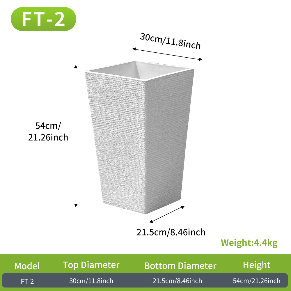 FT-2 Blanco