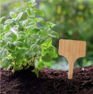 Étiquettes de plantes en bambou écologiques gravées personnalisées pour le jardinage et l'étiquetage des pépinières - Product Image 2