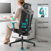 Chaise de bureau ergonomique haut de gamme en maille avec soutien lombaire dynamique et assise à profondeur réglable – Vente en gros