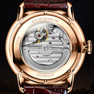 Relojes de Buena Calidad al por Mayor LOBINNI 18071 Relojes para Hombre 2021 Reloj de Pulsera Automático - Product Image 5