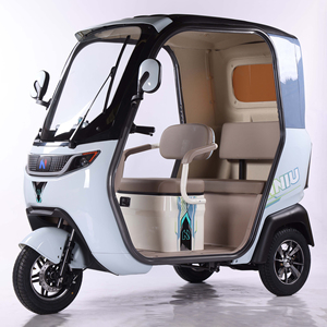 Dành cho người lớn 3-bánh xe điện Xích Lô đóng bánh xe Tuk hàng hóa khác xe mái triciclo Xe ba bánh chứng nhận 1000W Điện Trike 500kg lề đường - Product Image 3