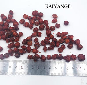 KAIYANGE <span class=keywords><strong>Ying</strong></span> Shi <span class=keywords><strong>Zi</strong></span> Fruits de rose multiflorale sauvages séchés naturels pour matériaux à base de plantes - Product Image 3