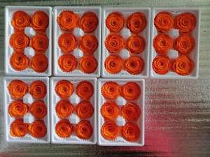 Cabezas de Rosa Natural Preservada de Alta Calidad, Grado A, Diámetro de 5~6 cm, Multicolor, para Decoración Navideña, Venta al por Mayor - Product Image 5