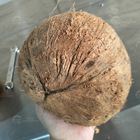 Machine électrique automatique pour décortiquer la noix de coco, éliminer la coque dure et la peau sèche brune, pour usage en restaurant, haute performance