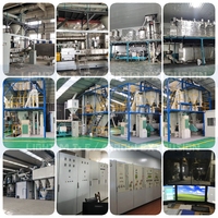 Ligne de production de riz nutritif à haute capacité, machine de fabrication de riz enrichi pour les produits céréaliers Frk