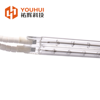 Tête de lampe à particules en céramique Revêtement blanc Twin Tube Quartz Ir Lampe halogène