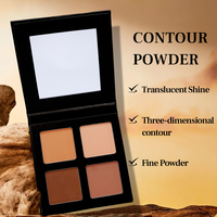 Palette de maquillage bronzante personnalisée DIY professionnelle la plus récente, poudre de contour, faible MOQ, illuminateur pour le visage avec étiquette privée