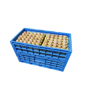 Trang trại ráp Giao thông vận tải lưu trữ có thể gập lại nhựa Trứng Thùng lưới hộp PP chất liệu Gà nhà CONTAINER - Product Image 1