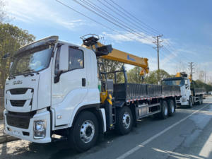 Camion lourd GIGA 8x4 à 12 roues avec grue télescopique à flèche droite montée sur châssis - Product Image 2