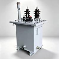 Los Transformadores Monofásicos de 20 KV se Utilizan para Suministrar Energía a Zonas Residenciales Suburbanas y Rurales