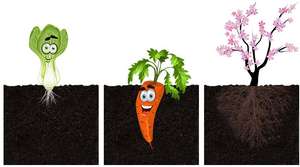 Boîte de <span class=keywords><strong>pot</strong></span> de légumes <span class=keywords><strong>en</strong></span> <span class=keywords><strong>plastique</strong></span> à combinaison épissable <span class=keywords><strong>en</strong></span> gros <span class=keywords><strong>pour</strong></span> le <span class=keywords><strong>semis</strong></span> de légumes du jardin domestique et les arrangements floraux de balcon - Product Image 6