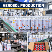 Peinture en aérosol chromée métallisée DSC SEVEN 330ml 350ml, peinture en aérosol argentée décorative à séchage rapide