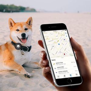 Collar Ajustable para Gatos, Impermeable, Reflectante, Inteligente, con GPS 4G, Collar para Perros, Rastreador de Salud, Soporte para Apple AirTag, GPS para Perros de Caza - Product Image 3