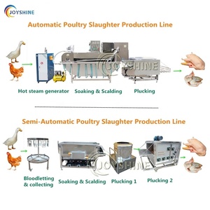 Automática comercial pollo hirviendo y máquina de pelado de limpieza sacrificio equipo de línea de procesamiento - Product Image 4