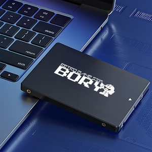 Factory Direct Sell 2.5inch SATA3 SSDs BORY Super Fast Gaming Internal Solid State Drive with USB High-Speed Hard Drives - Product Image 4