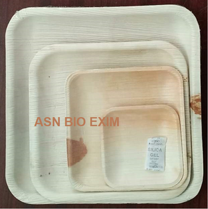 ชุดจานและจานใบปาล์มอาเคาออร์แกนิกธรรมชาติ100% รูปแบบต้นเหล็กสลักที่ย่อยสลายได้ตามธรรมชาติและเป็นมิตรกับสิ่งแวดล้อมสำหรับงานปาร์ตี้ - Product Image 5