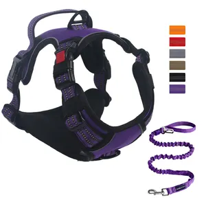 Fabricant OEM Ensemble de harnais pour chien en nylon sans traction Ensemble de laisse harnais réfléchissant de sécurité pour chien avec logo personnalisé