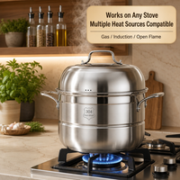 Marmite vapeur 2-en-1 en acier inoxydable 304 à double paroi, compatible gaz et induction, avec base épaissie pour cuisson du poisson