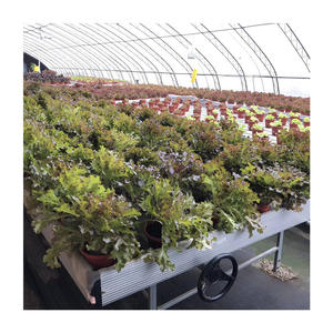 Sistema de Banco rodante con ruedas y Equipo de cultivo de cambio de enrejado Mesas de cultivo de bandeja de flujo y reflujo móviles 4*8 - Product Image 1