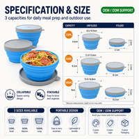 Ensemble de contenants alimentaires en silicone pliables et réutilisables avec bol et couvercle pliables, capacité de 1 à 3 L, boîte à lunch pour enfants, école