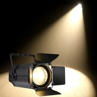 200W COB Led Spot Blanc Chaud Blanc Froid Zoom Blinder lumière TV studio Spot Light Disco Dj Night Club Led Stage Light