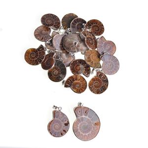 Collares con Colgante de Piedra de Amonita Natural para Mujer y Hombre, Estilo Vintage, Joyería de Moda Única para la Playa y Regalos de Cumpleaños - Product Image 3