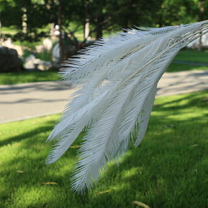 Pampas Grass Artificial <b>Leaves</b> 100cm Silk Flower Wedding Decoration - Product Image 4