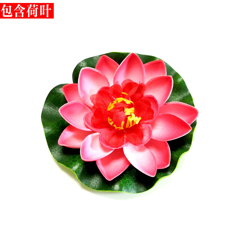 10cm full open red