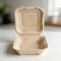 Boîte à lunch biodégradable en bagasse de canne à sucre, jetable, micro-ondable et recyclable