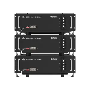 Shoto 51.2V Rack Type Aangepaste Lifepo4 Batterij Box Case 300ah Batterij Box Voor Thuisgebruik Op Net Batterij Energieopslagsysteem