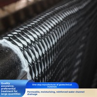 Geoneta de Drenaje Tridimensional KYX-10 de BestSale para Ingeniería de Vertederos y Túneles de Metro
