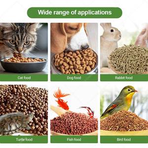 Machine à granulés d'aliments pour chiens et poissons, à pressage à froid, pour aliments secs et croquettes, pour l'Allemagne, l'Afrique du Sud, le Bangladesh - Product Image 5