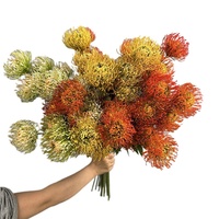 Fleur artificielle à branche unique, type Chrysanthème Araignée et Pin Cushion d'Afrique du Sud, pour centre de table de mariage et décoration intérieure