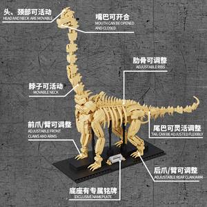 Bộ khối xây dựng mô hình bộ xương khủng long 4 trong 1 bộ đồ chơi bé trai chất liệu ABS cho trẻ em Quà tặng sinh nhật vui tươi - Product Image 2