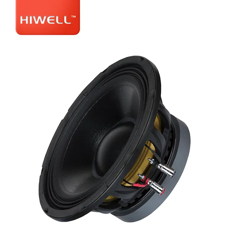 Pro Audio 10 ''Midbass 65 Mm Voice Coil Pa Live Speaker Peralatan Suara.