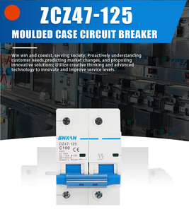 DZ47-125 100A 2P 63A 230V AC 50Hz/60Hz artık akım devre kesici aşırı akım ve kaçak koruma ile RCBO kesim L N - Product Image 6