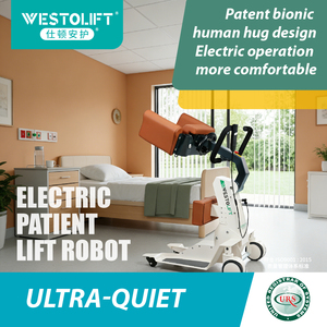 Lève-<span class=keywords><strong>personne</strong></span> électrique compact 100 kg - Palan portable certifié ISO pour personnes <span class=keywords><strong>âgée</strong></span>s de petite taille - Product Image 2