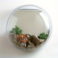 Aquarium mural transparent en acrylique de forme ronde, idéal pour la décoration de la maison et du bureau, aquarium mural à bul