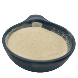 Extrait de Ginseng Américain de Haute Qualité, Ginsénosides Totaux 45%, Ingrédient de Complément Alimentaire à Prix Compétitif - Product Image 5