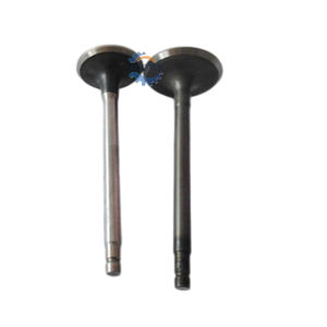 วาล์วไอดีและไอเสียเครื่องยนต์โรงงาน ผลิตตามมาตรฐาน OEM 13201-VC200 13202-VC200 <span class=keywords><strong>ส</strong></span>ำหรับ<span class=keywords><strong>นิ</strong></span><span class=keywords><strong>ส</strong></span><span class=keywords><strong>ส</strong></span>ัน TB48 Y61 - Product Image 5