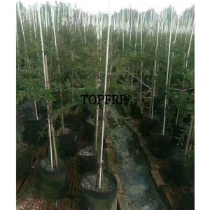 High Quality Fiberglass Plant Stakes , FRP fiber Garden Stakes - Product Image 5