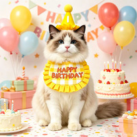 Colliers personnalisés pour animaux de compagnie, doux, en polyester, avec motif lettre de dessin animé, chapeau d'anniversaire, bavoir, écharpe mignonne pour chien, ensemble de serviettes anti-salive Joyeux Anniversaire