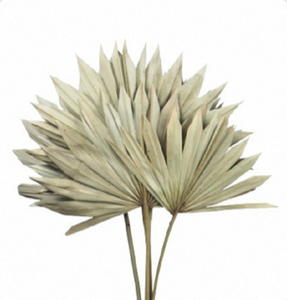 Arreglo Floral de Hojas de Palma Secas, Planta Seca Natural, Flor Decorativa de Larga Duración para Bodas, Sala de Estar, Hogar - Product Image 1