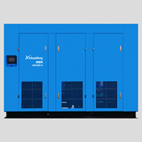 Compresseur d'air à vis horizontal PM VFD 200 kW/GGV22/250 kW, 2 étages, stationnaire, à économie d'énergie, refroidi par air, AC 7 bars, pour gaz d'azote 2